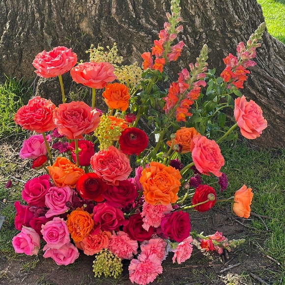 Meet your Posher, Lisa - Picture 1 of 1